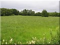 Derryhowlaght West Townland