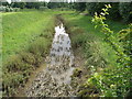 Hartburn Beck