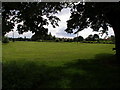 Open green space with footpath and cycleway