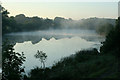 C8729 : Morning Mist by Shane Killen