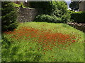 Fox-and-cubs