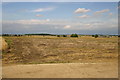 Fields by  the side of the new Great Barford bypass