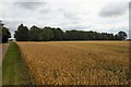 Home Farm, Coddenham Green