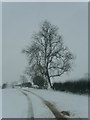 Snow on the Farm Track.