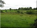 Killycurragh Townland