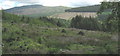 Clear fell forest in Cwm Afon Wen with Rhobell Fawr in the background