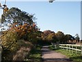 Bridleway, Cherry Orchard Country Park