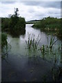 Kinnordy Loch in the rain