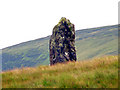 D3304 : Standing Stone by Don McCluney