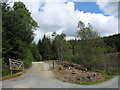 Forestry road serving the Mynydd Cwm-heisian Forest