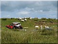 Dumped car near Garrabost