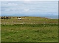 Rough grazing and peat cutting at Aird