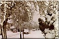TQ1187 : Ferncroft Avenue in the snow by Nick Mutton 01329 000000