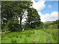 The start of the bridlepath to Pont Tyddyn-mawr