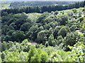 Forest enclosed spoil tips at Gwynfynydd Gold Mine