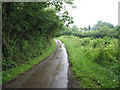 Road between Little Gorsley and Aston Ingham