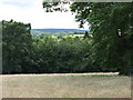 Field and woods near Dipton House