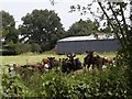 TQ6325 : Holmhurst Manor Farm Barn by Paul Collins