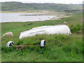 Torrisdale Bay