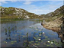 NB4016 : Lochan with water lilies by Eileen Henderson
