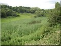 Reservoir, North Bierley