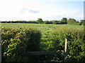 Footpath near Blackmorehill Farm, Middle Claydon