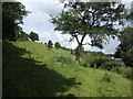 Hillside above Threepwood