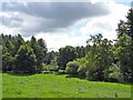 Norley - view towards the Delamere Forest