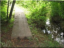 TM0936 : Boardwalk by stream on path between two woods by Zorba the Geek