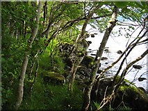 NH5124 : Shore of Loch Ness by John Allan