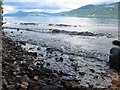NH5732 : Shore of Loch Ness by John Allan