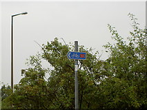 SJ2890 : National Cycle Network Route 56 Signpost by David Quinn