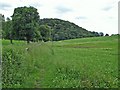 Alvanley - view along the Sandstone Trail