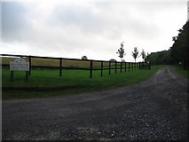 ST7725 : Entrance to Westbrook Equestrian Centre by Phil Williams