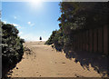 Footpath to the beach.