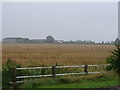 View of Lower Farm from the Road