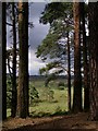 SU1802 : View from the pines, Kingston Great Common, New Forest by Jim Champion