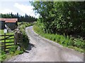 Track to Swinhopeburn