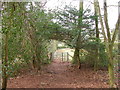 Kissing Gate in Wallhope Grove