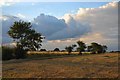 Farmland at Mickfield