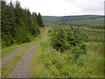 NY6396 : Forestry road at Archer Cleugh, Kielder. by Kenneth   Ross