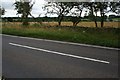 Dry stone wall by a road