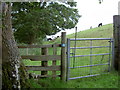 SJ1860 : Gate and footpath near Llanferres by David Quinn