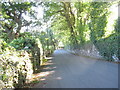 The Dolgellau to Llanfachreth road west of Garth Bleuddyn