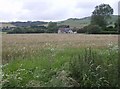 Across the fields to Limerstone