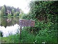 Jubilee Lake, Three Bridge Mill near Twyford 2