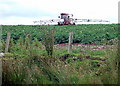 Spraying the potato crop