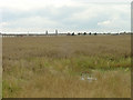 view from Hunter Flat Lane