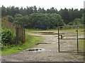 Waste ground off High Common Lane