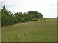 Farmland near Austerfield